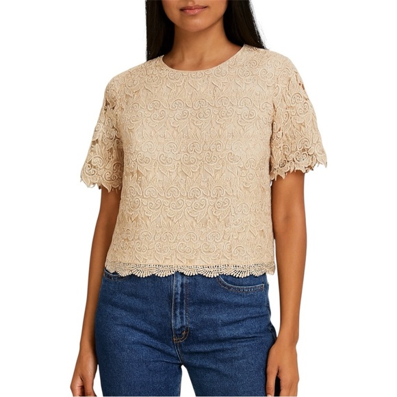 Vintage Talbots Lace Button Up‎ Top - Picture 2 of 9